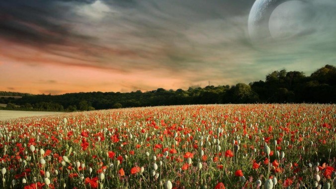 广州的你，择偶标准怎样的？